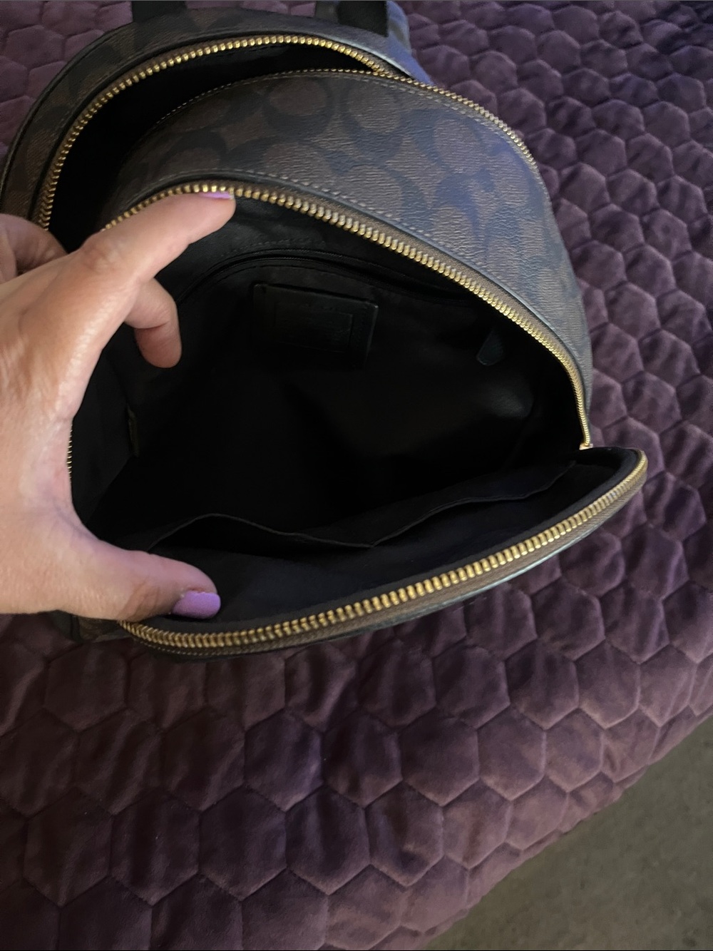 Coach Brown/Black Signature Mini Backpack with Gold Hardware - Picture 5 of 6